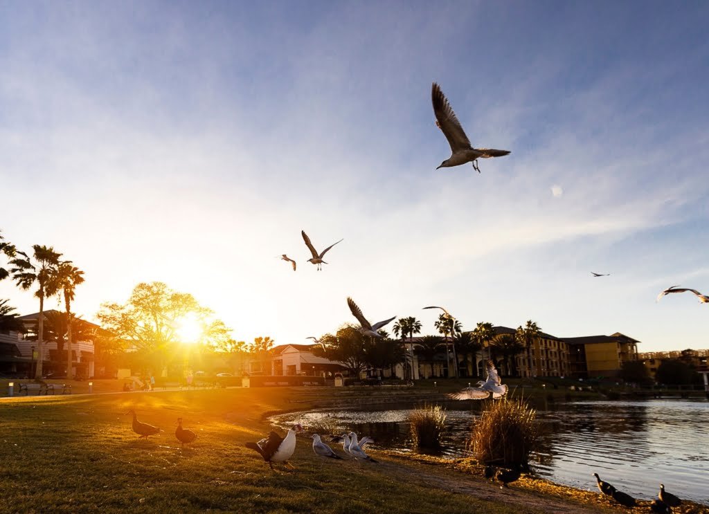 Casas em Winter Park